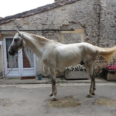 Gite Des Ecuries Du Seillery La Clisse Екстериор снимка