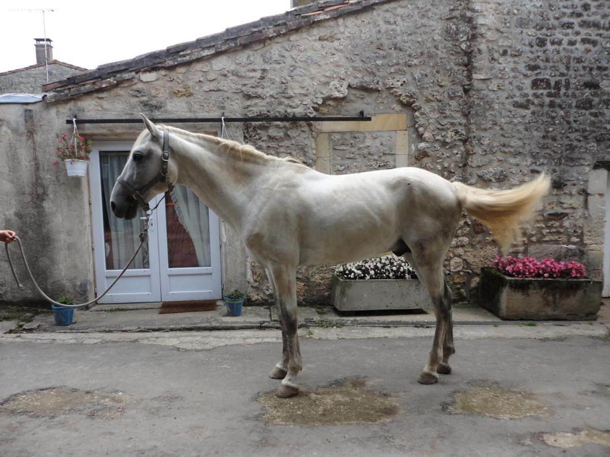 Gite Des Ecuries Du Seillery La Clisse Екстериор снимка