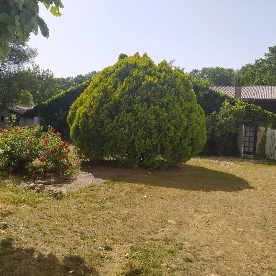 Gite Des Ecuries Du Seillery La Clisse Екстериор снимка